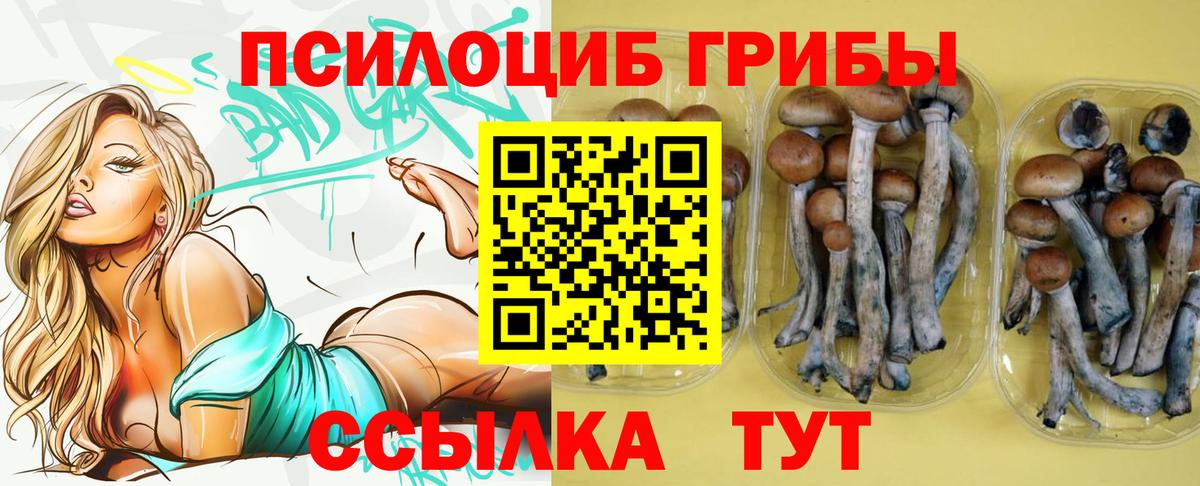Псилоцибиновые грибы Magic Shrooms Домодедово